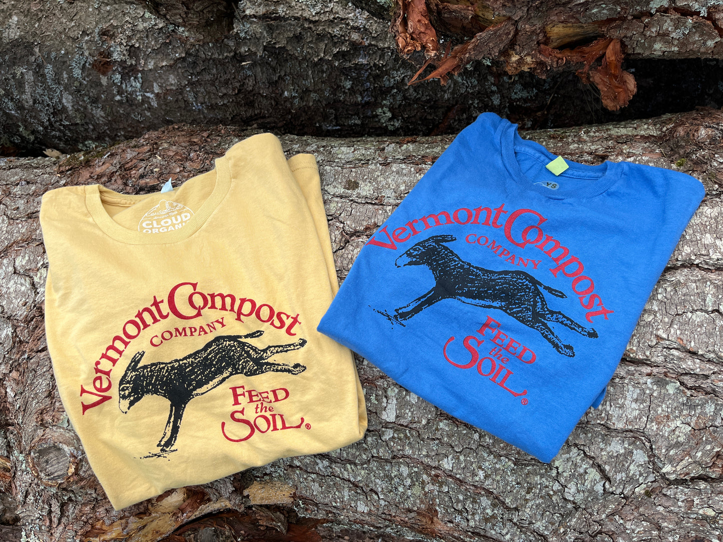 Youth T-Shirt
